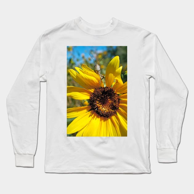 Brunch Long Sleeve T-Shirt by becky-titus